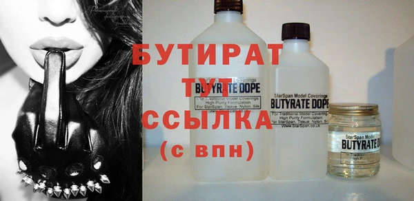 гидра Вязьма