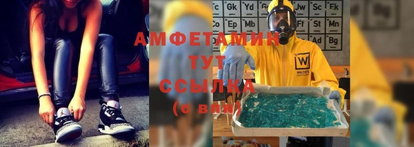 PSILOCYBIN Вязники