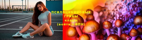 гидра Вязьма