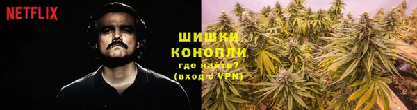 гидра Вязьма