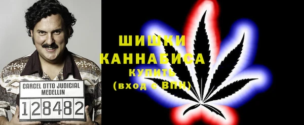 PSILOCYBIN Вязники