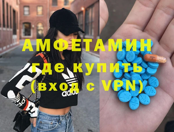 гидра Вязьма