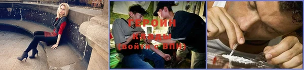 гидра Вязьма