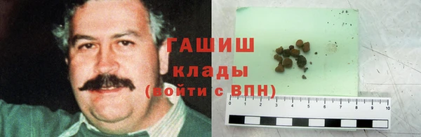 гидра Вязьма