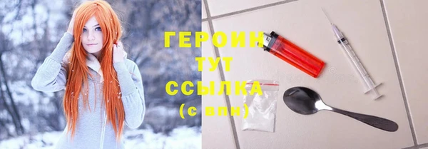 гидра Вязьма
