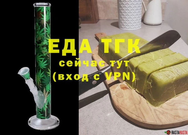 гидра Вязьма