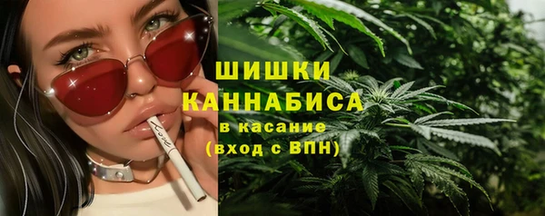 гидра Вязьма