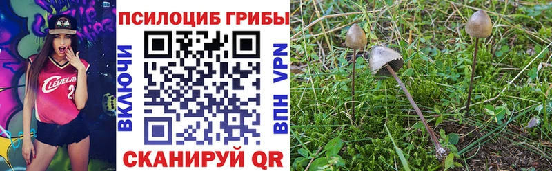 Купить  Котлас  Галлюциногенные грибы ЛСД 